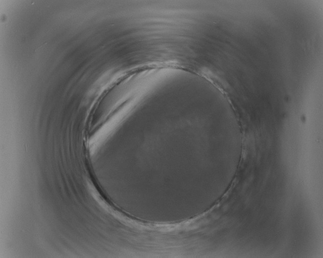 X0000060790002200512082136