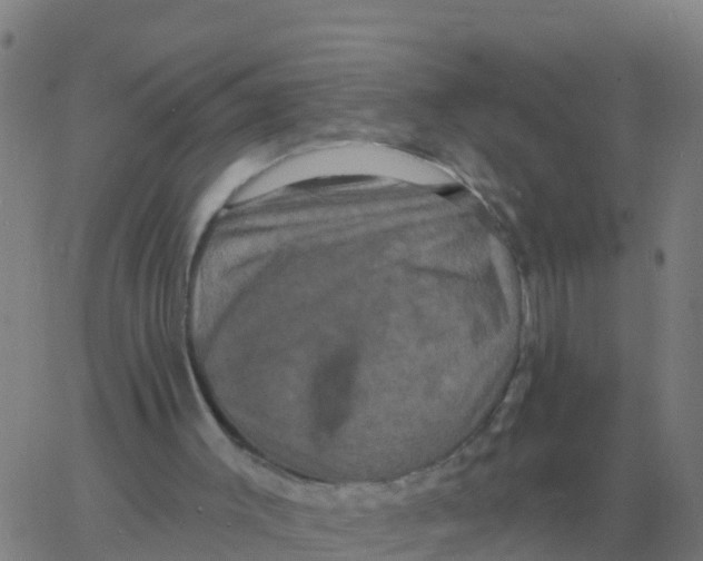 X0000060790003200512082136