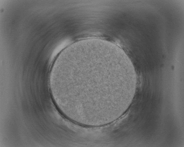 X0000060790004200512082136