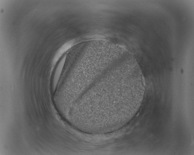 X0000060790006200512082136