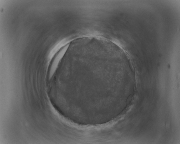 X0000060790007200512082136