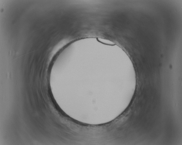 X0000060790008200512082136