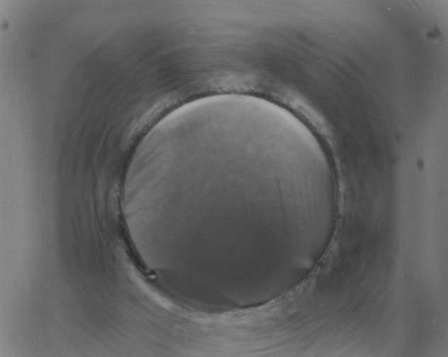 X0000060790009200512082136