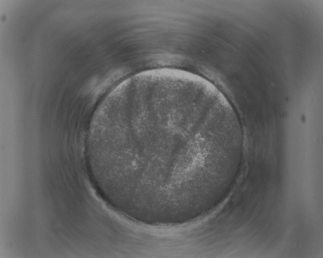 X0000060790010200512082136