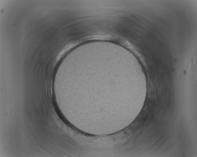 X0000060790011200512082136