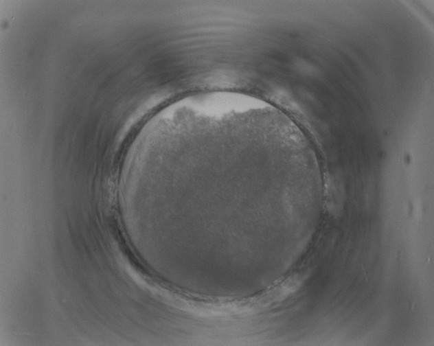 X0000060790012200512082136