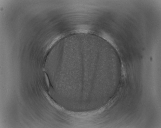 X0000060790013200512082136