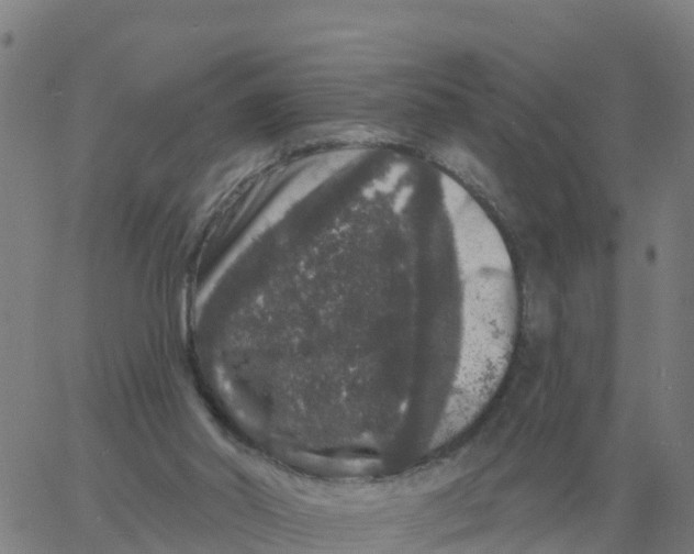 X0000060790014200512082136