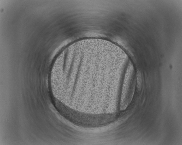 X0000060790015200512082136