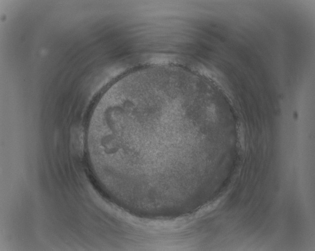 X0000060790016200512082136