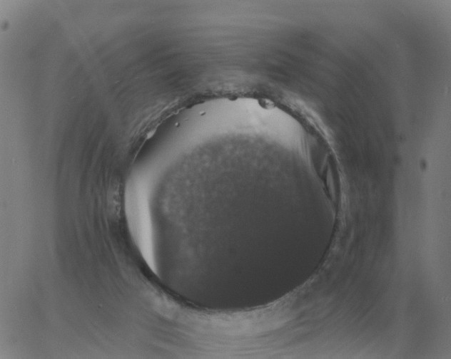 X0000060790017200512082136