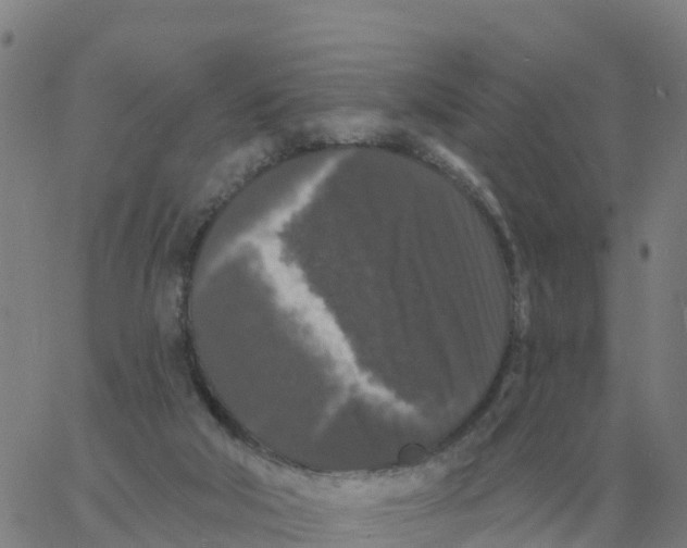 X0000060790018200512082135