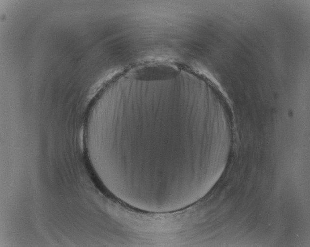 X0000060790019200512082135