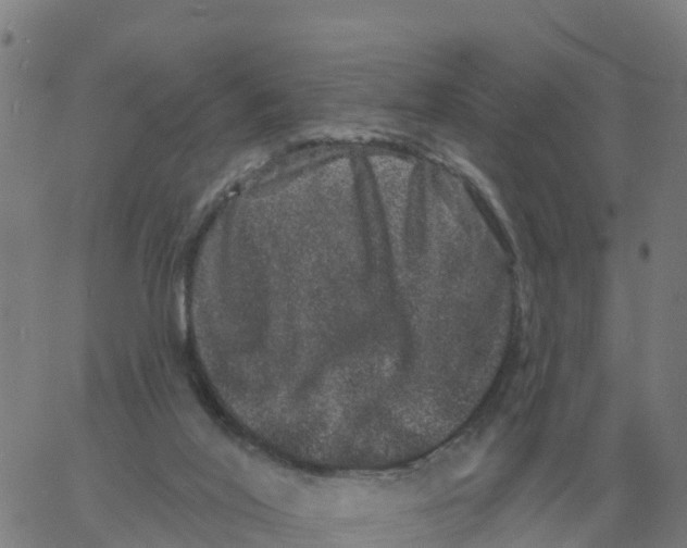 X0000060790020200512082135