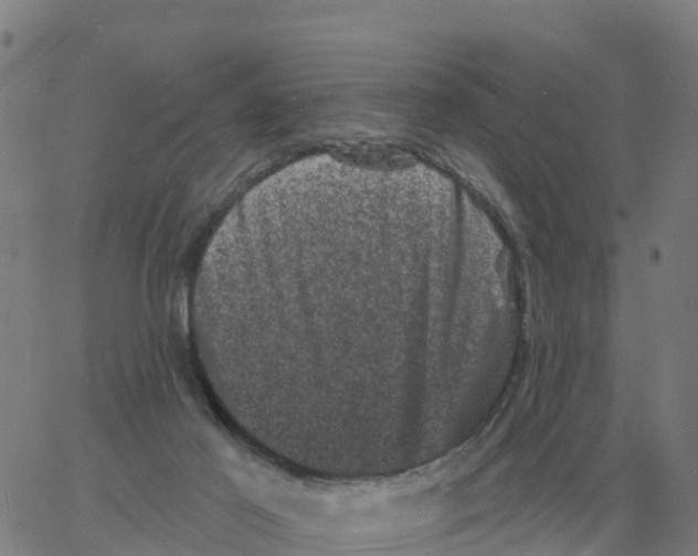 X0000060790021200512082135