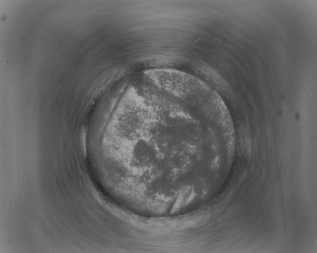 X0000060790022200512082135