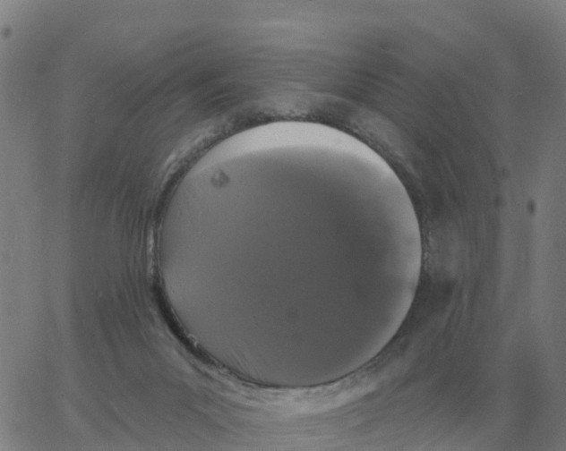 X0000060790023200512082135