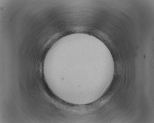 X0000060790024200512082135