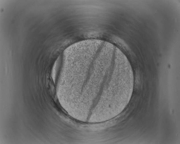 X0000060790025200512082135