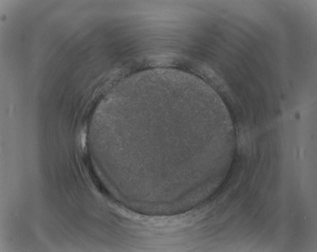 X0000060790026200512082135