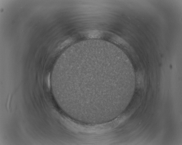 X0000060790028200512082135