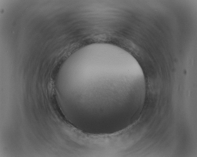 X0000060790029200512082135