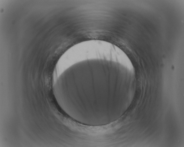 X0000060790031200512082135