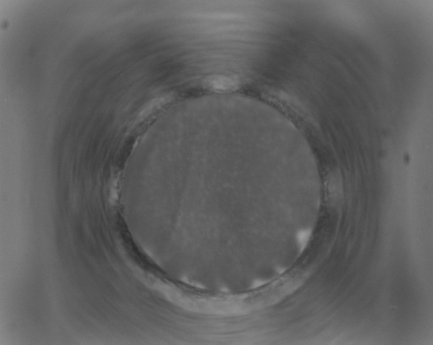 X0000060790032200512082135