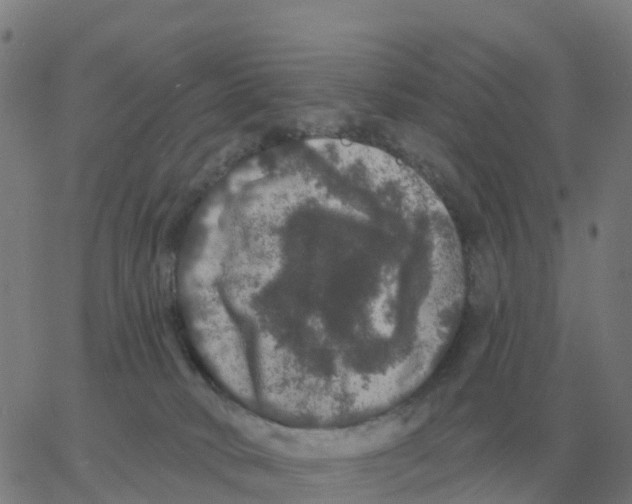 X0000060790034200512082135