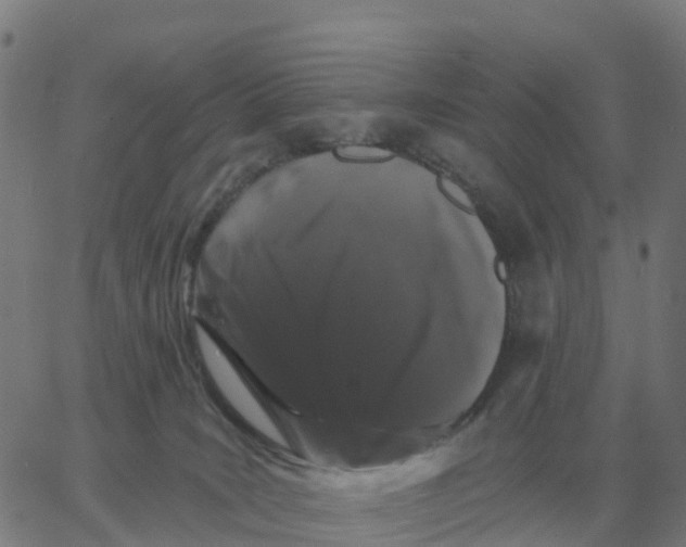 X0000060790035200512082135