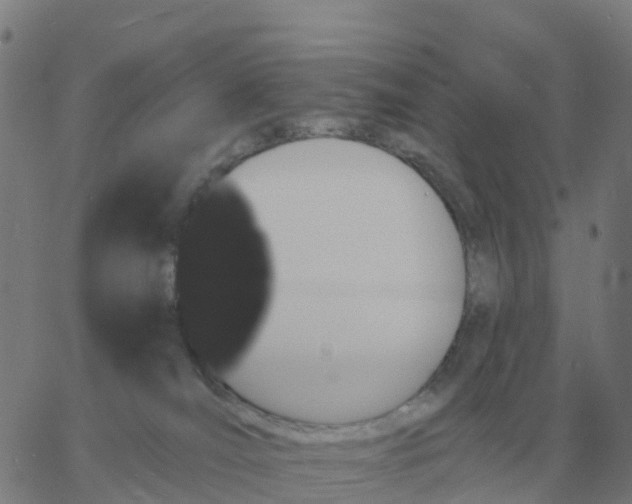 X0000060790036200512082135