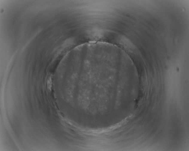 X0000060790037200512082135