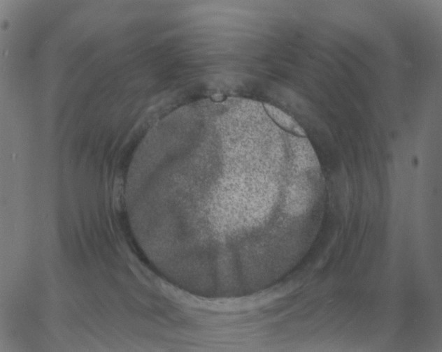 X0000060790038200512082135