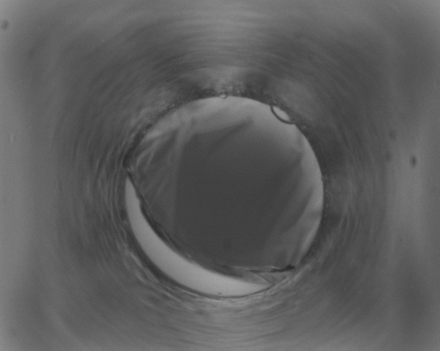 X0000060790039200512082135