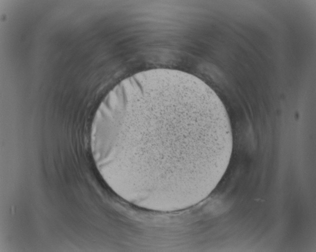 X0000060790040200512082135