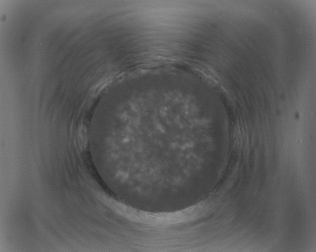 X0000060790043200512082135