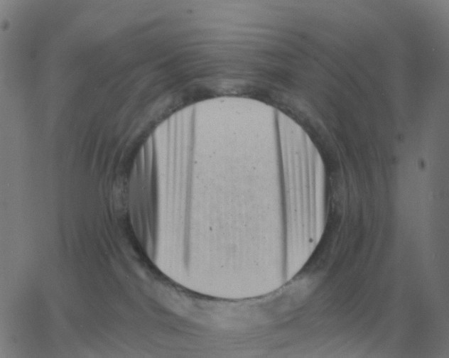 X0000060790044200512082135