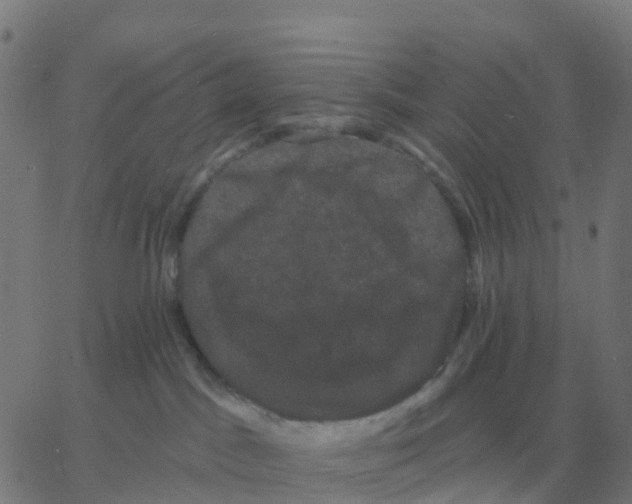 X0000060790045200512082135