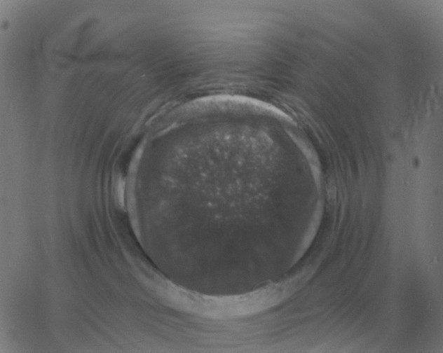 X0000060790046200512082135