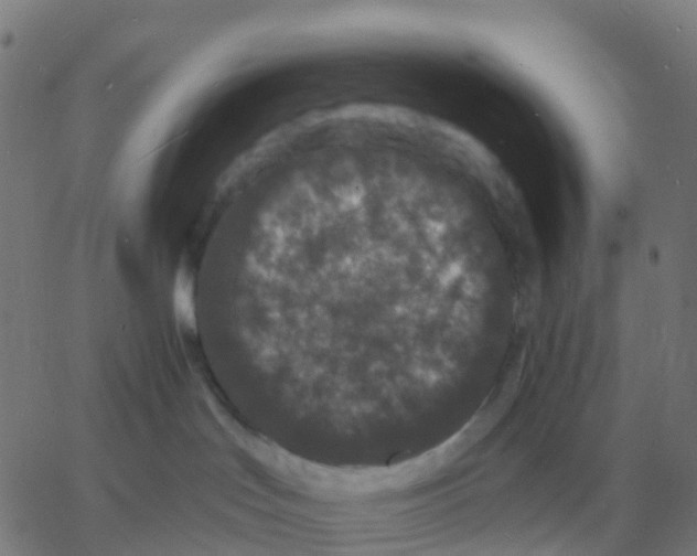 X0000060790047200512082135