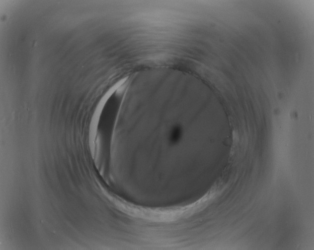 X0000060790048200512082135