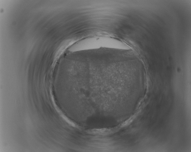 X0000060790049200512082134