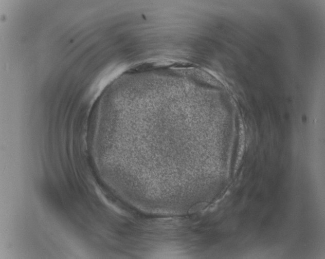 X0000060790050200512082134