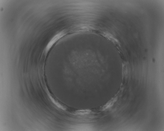 X0000060790051200512082134