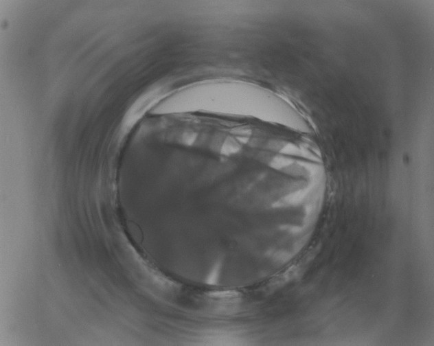 X0000060790053200512082134