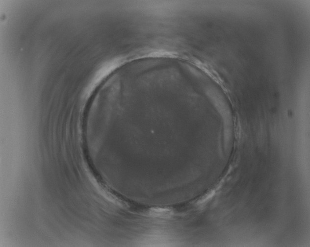 X0000060790055200512082134