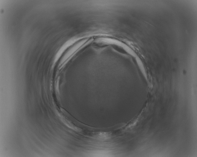 X0000060790056200512082134