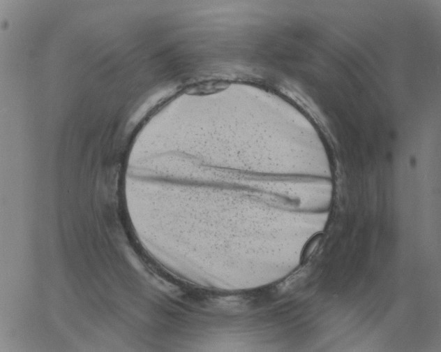 X0000060790058200512082134