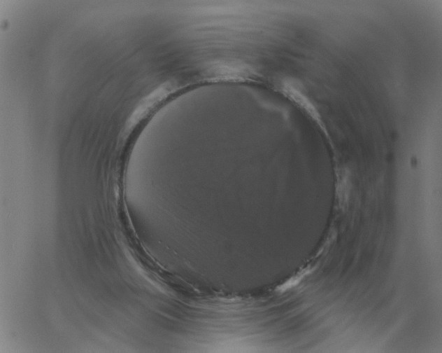 X0000060790059200512082134