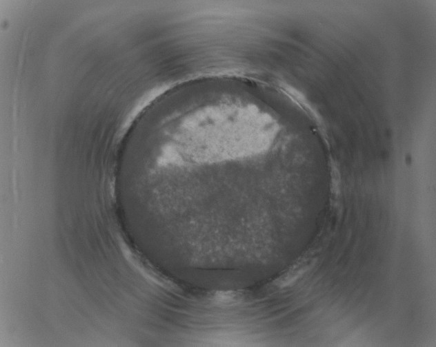 X0000060790060200512082134